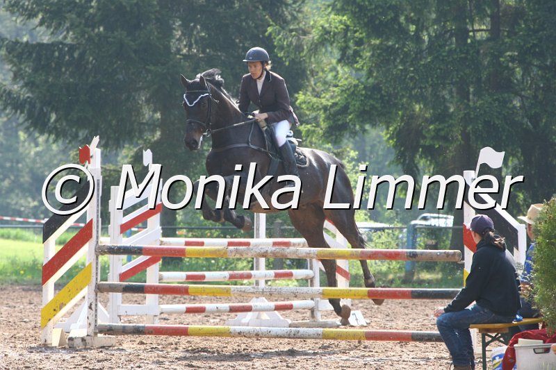 103M3172_Jack Pot_Springpf A.JPG